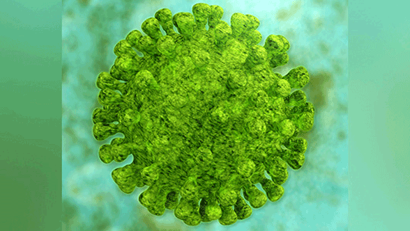 Coronavirus : Update